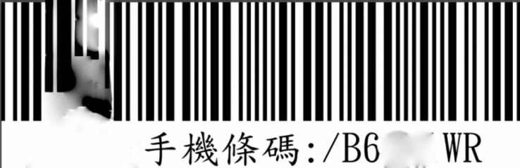 雲端發票手機條碼