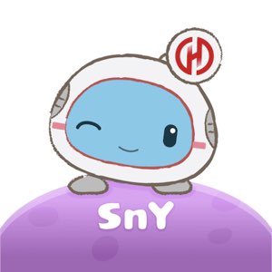 sny logo